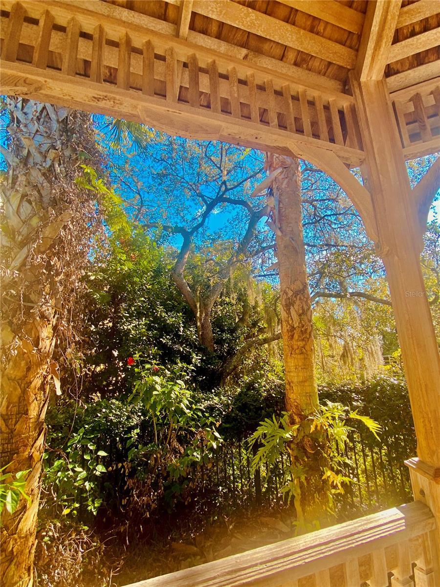 Photo #41