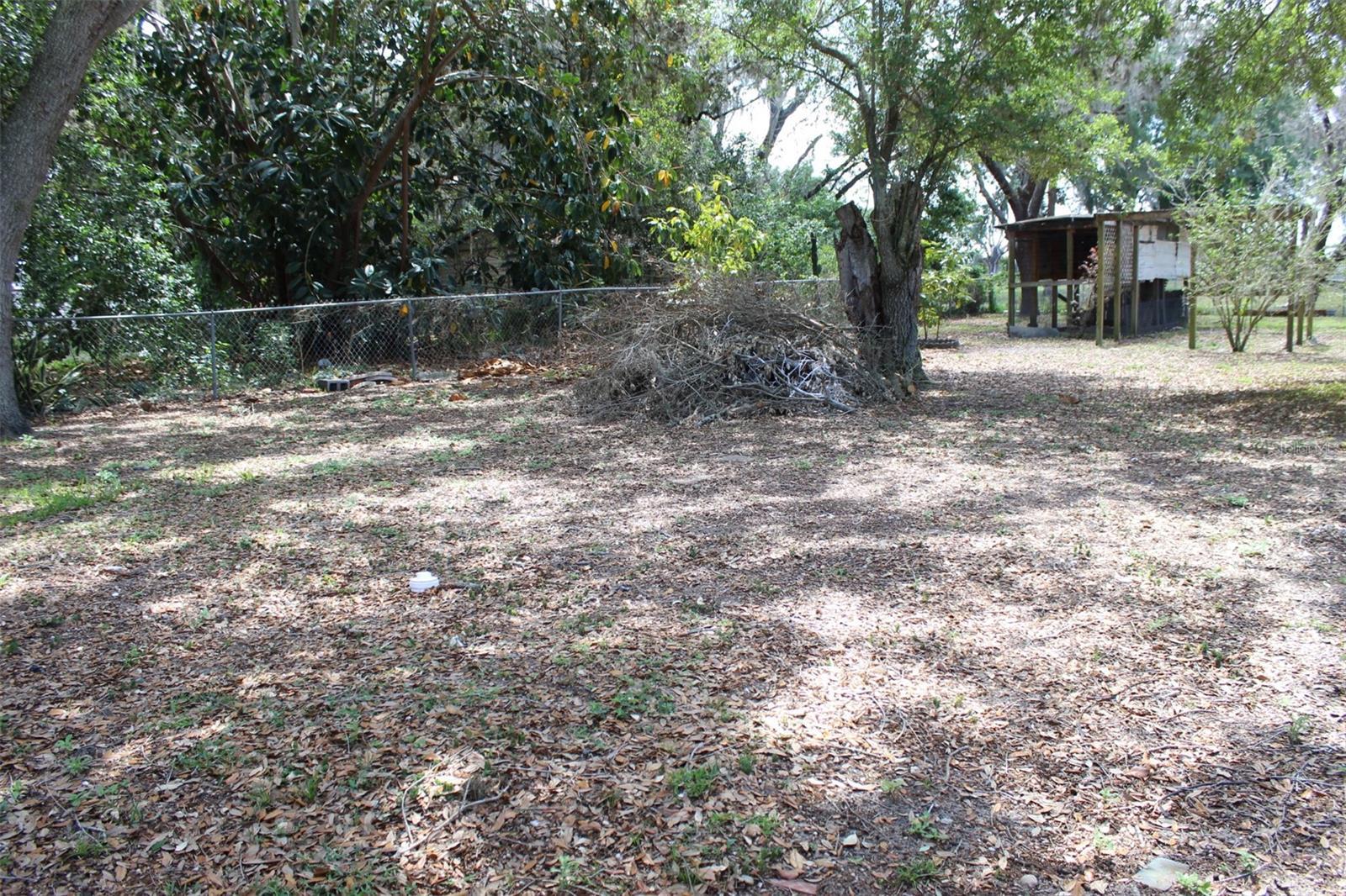 Photo #23