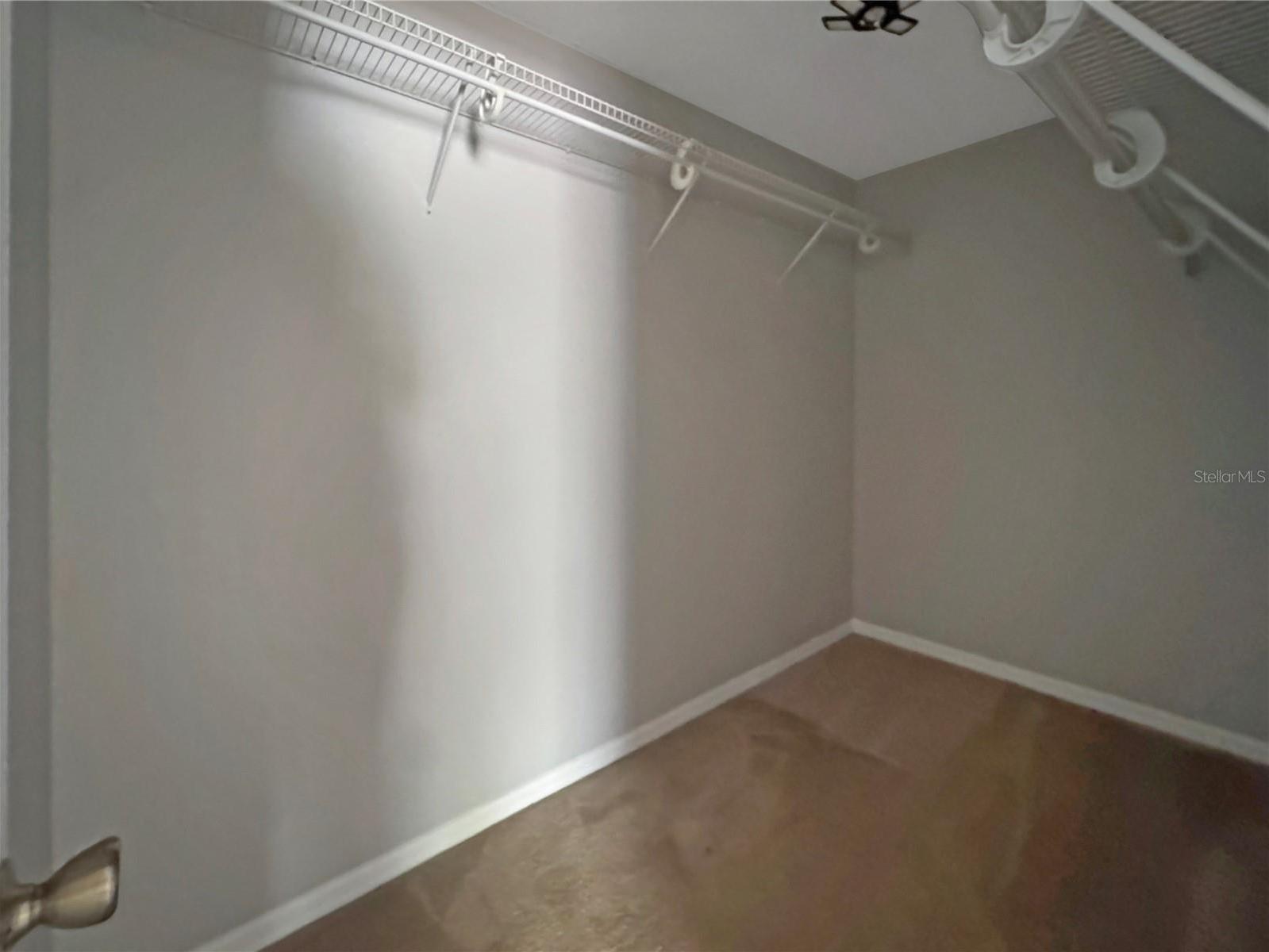 Photo #11