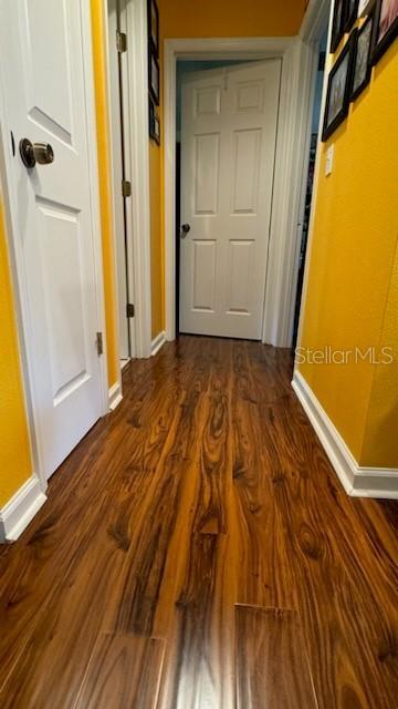 Photo #24