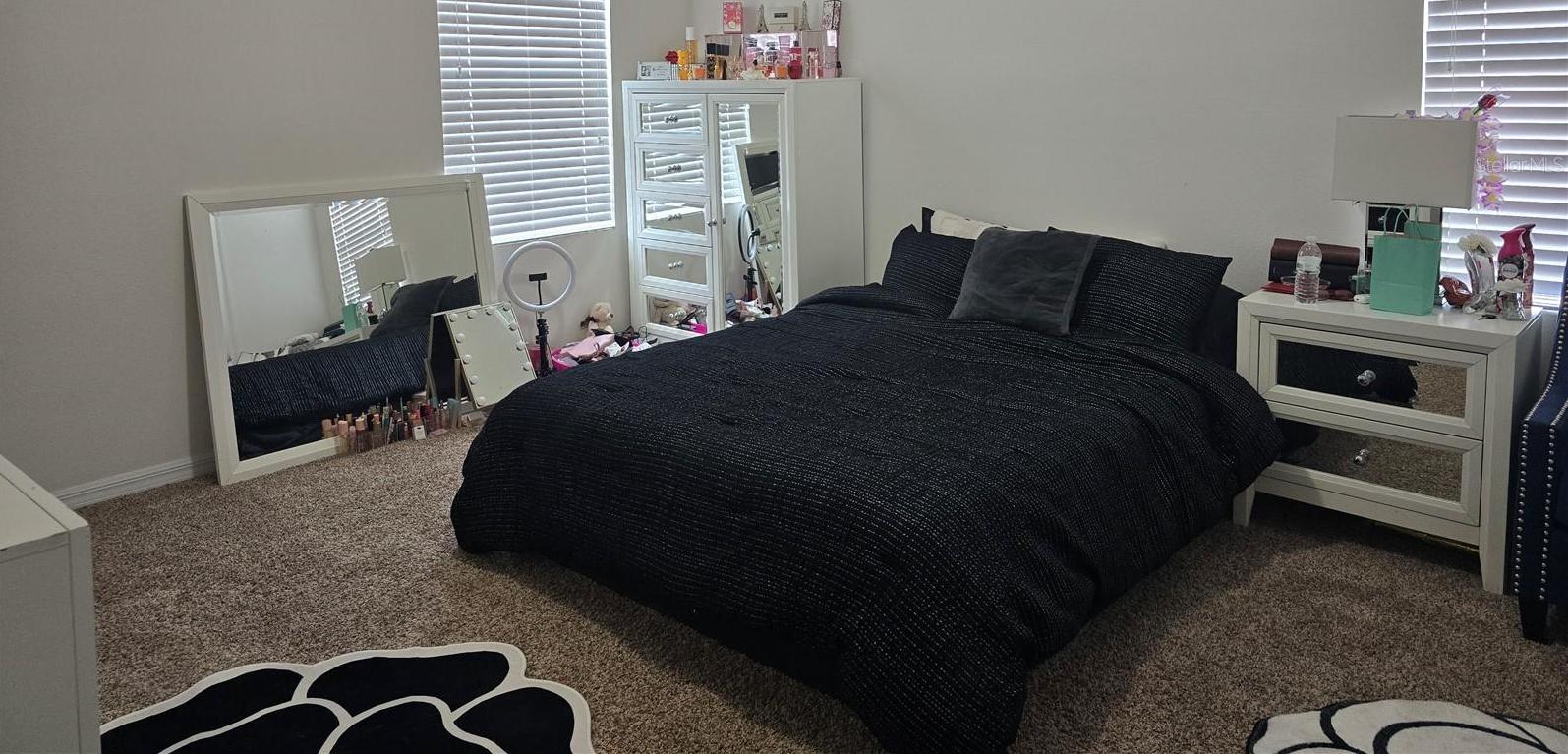 Photo #12