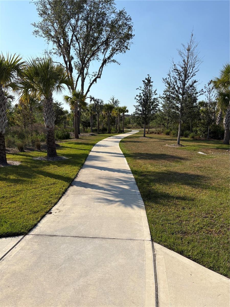 Photo #36