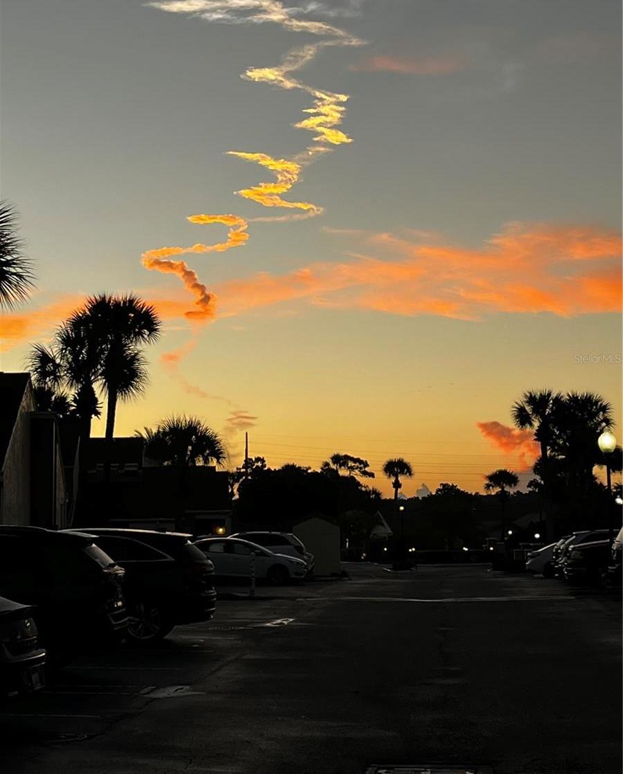Photo #31