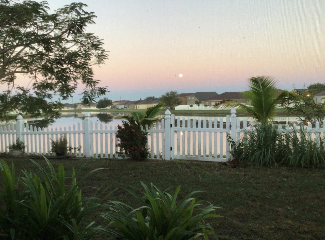 Photo #2