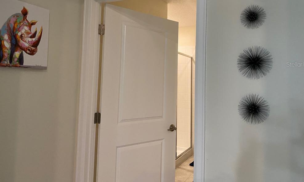 Photo #20