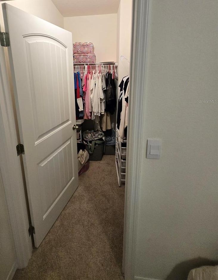 Photo #38