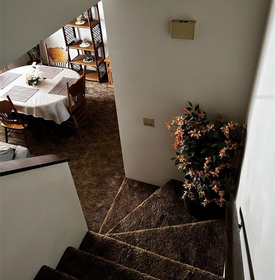Photo #13