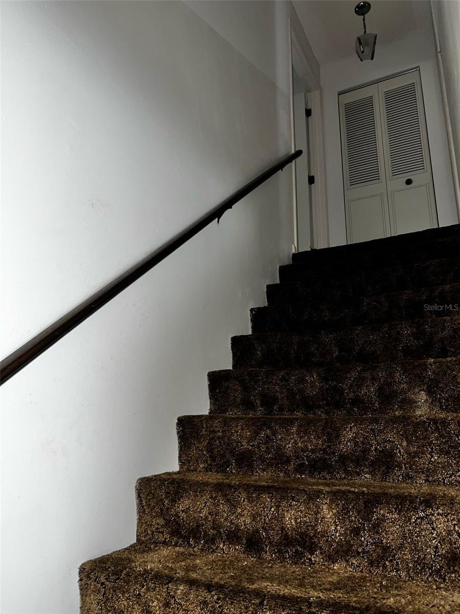Photo #23