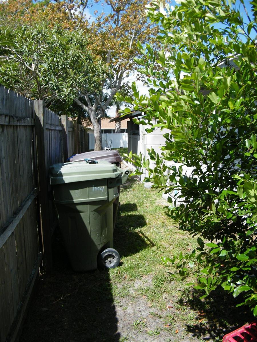 Photo #6