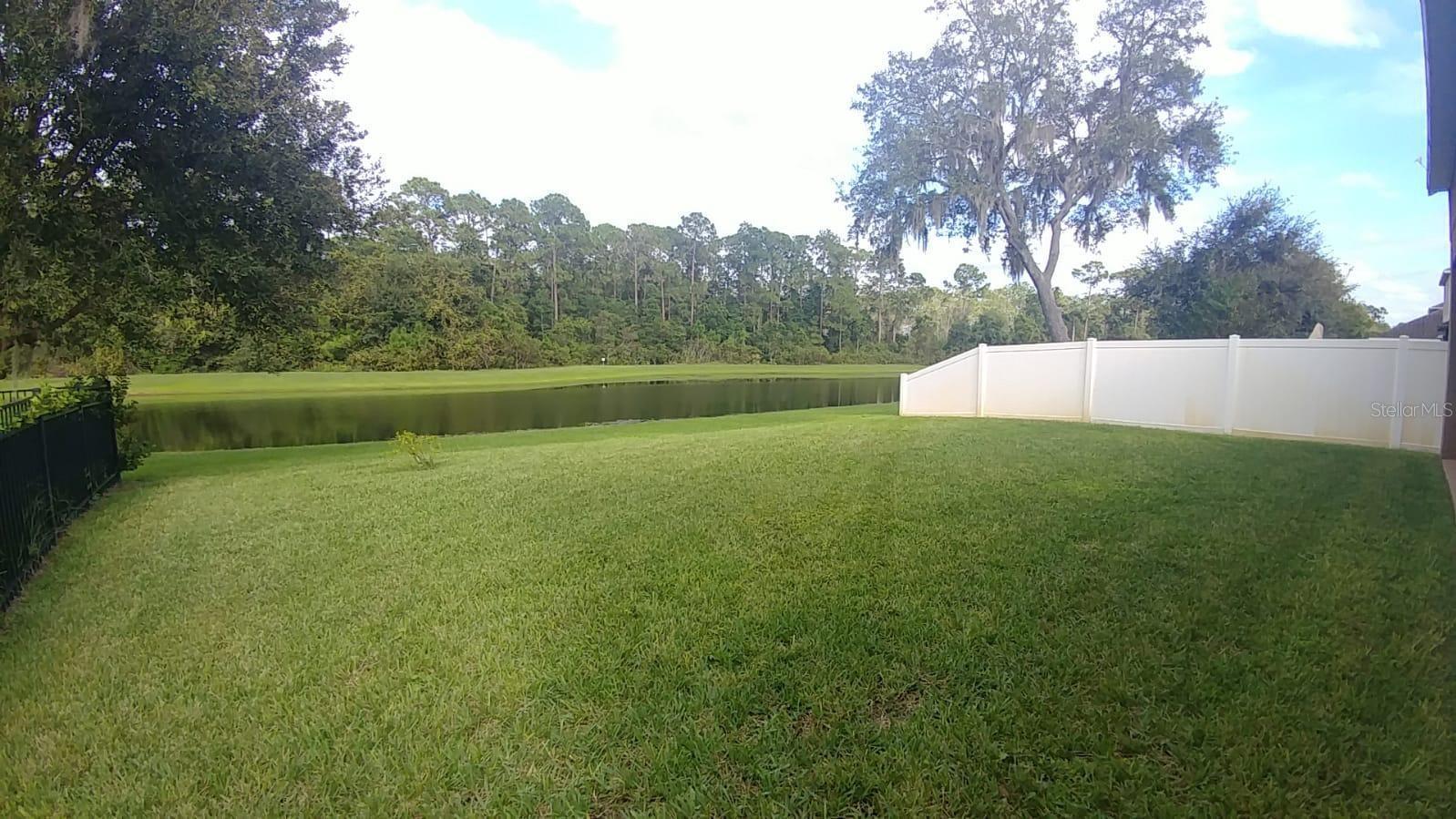 Photo #21