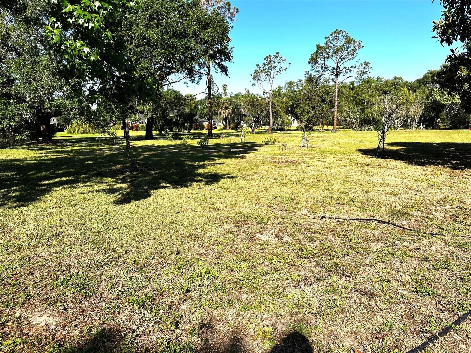 Photo #38