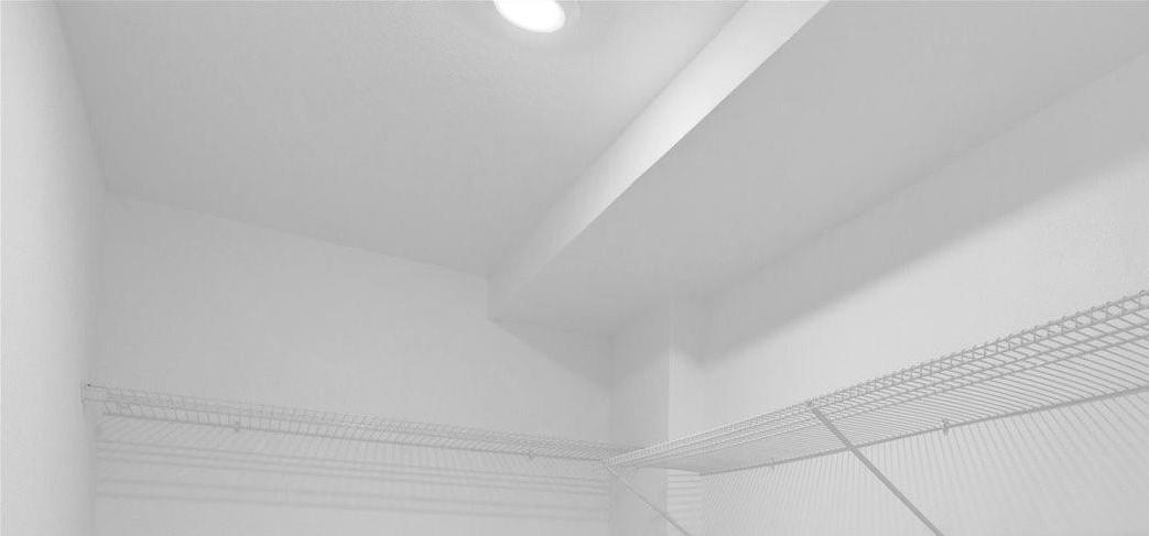 Photo #19