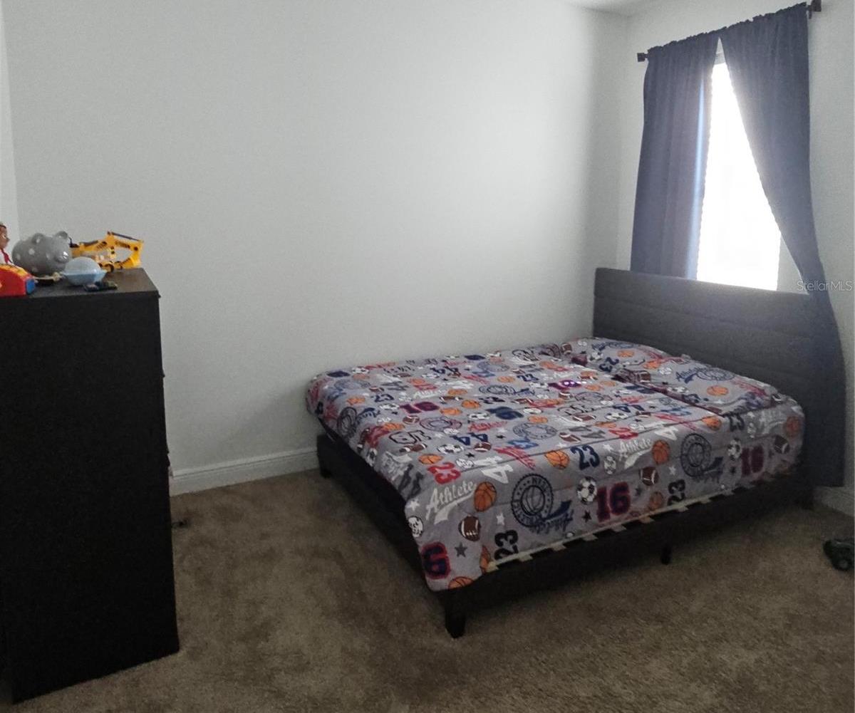 Photo #29