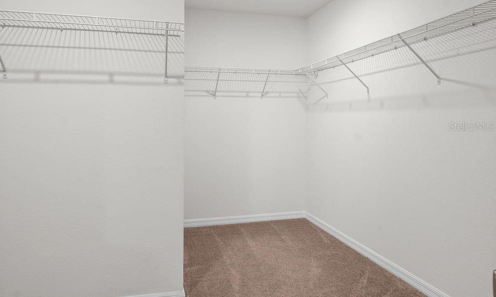 Photo #13