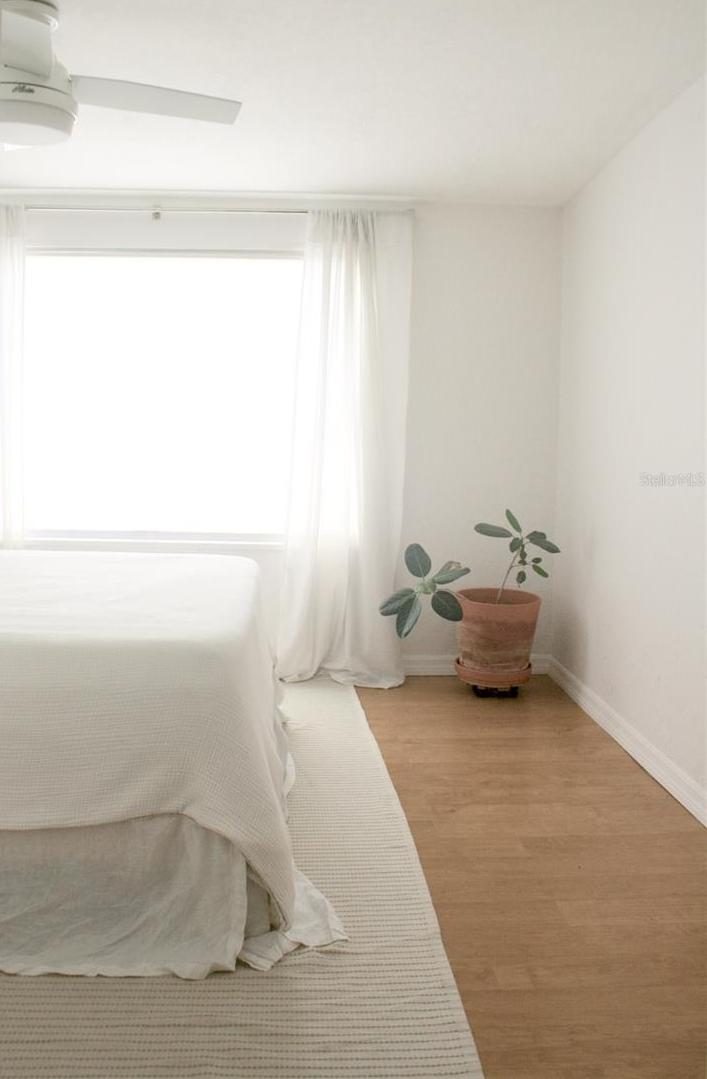 Photo #13