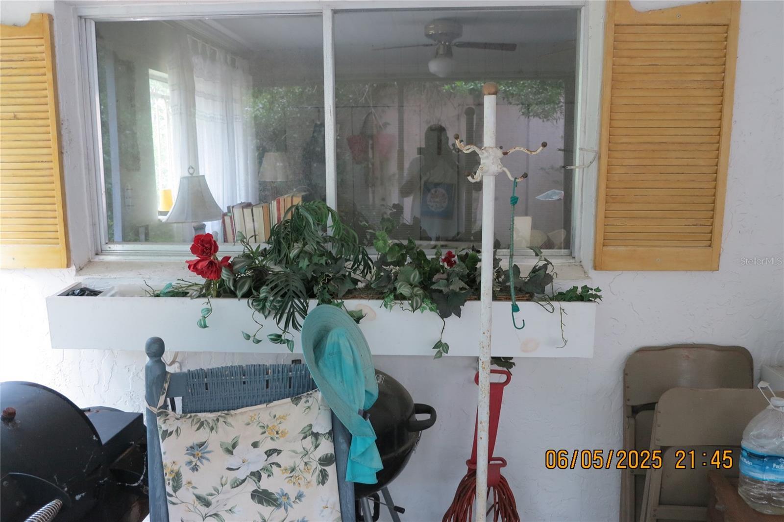 Photo #46