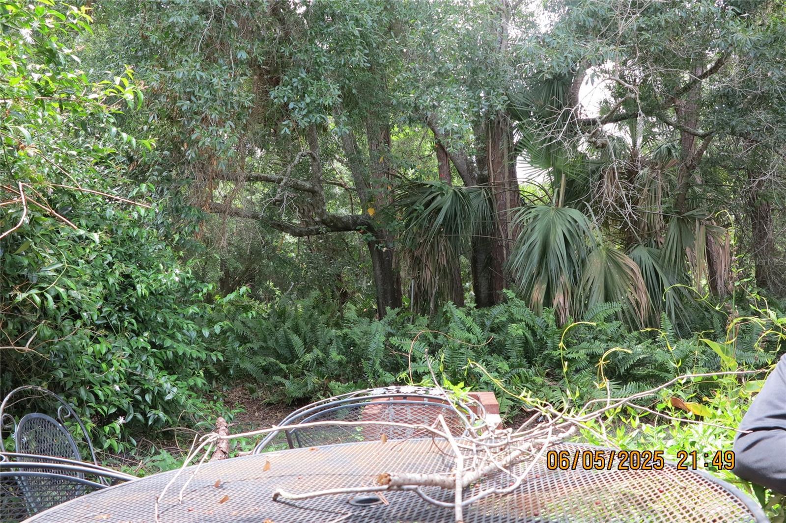 Photo #52