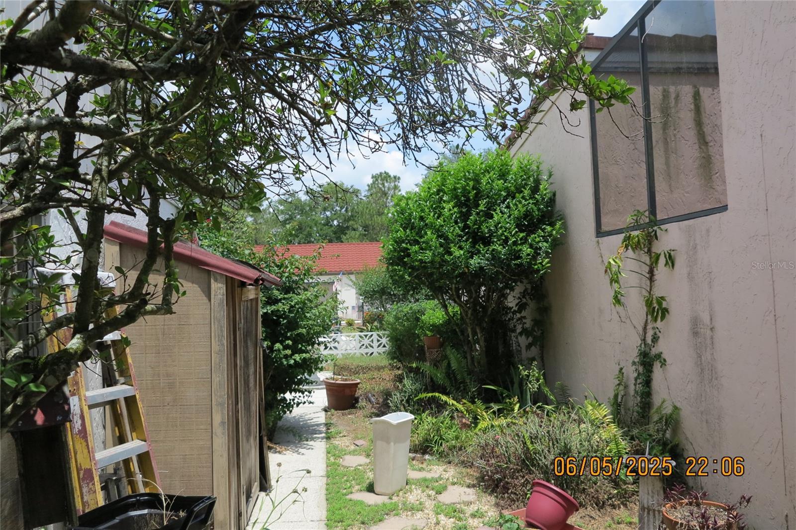Photo #7