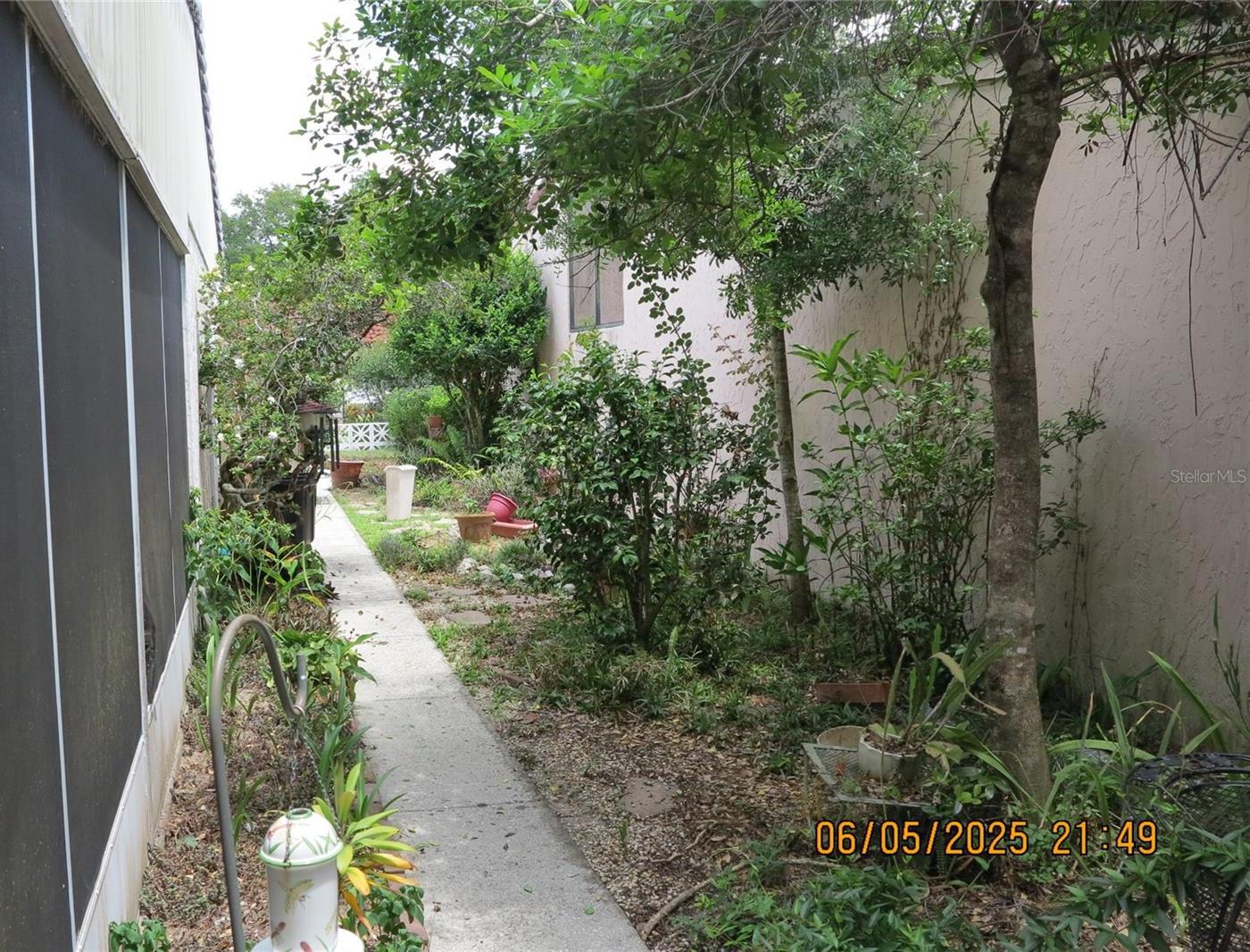 Photo #8