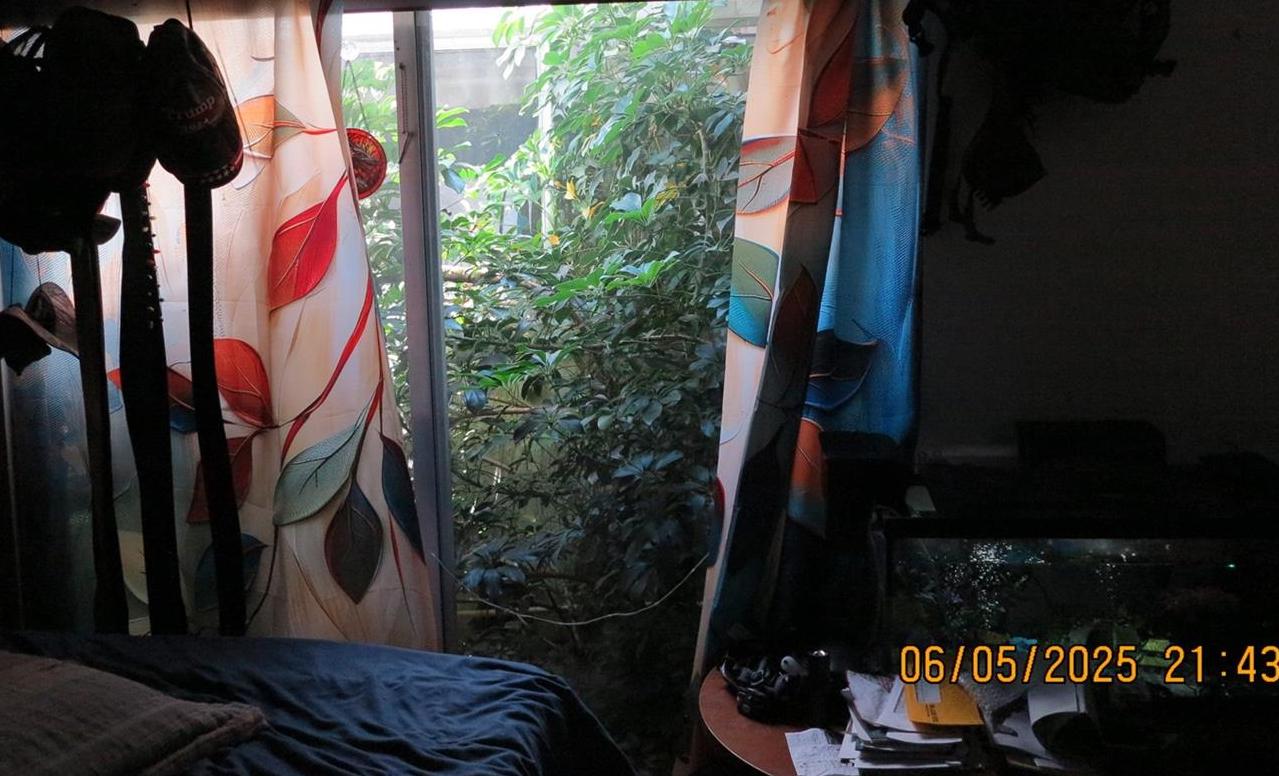 Photo #43