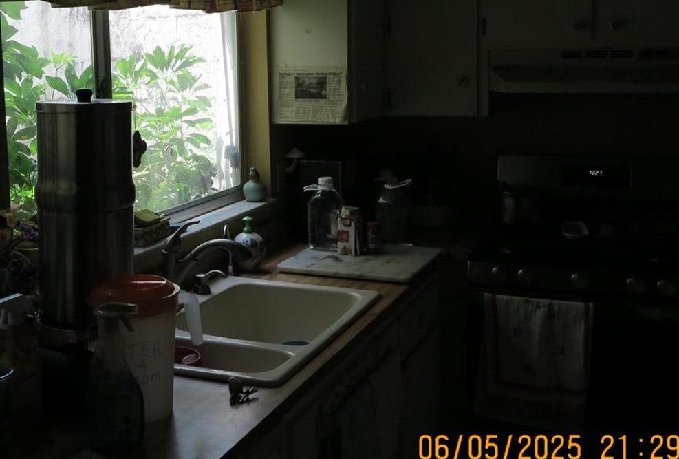 Photo #33