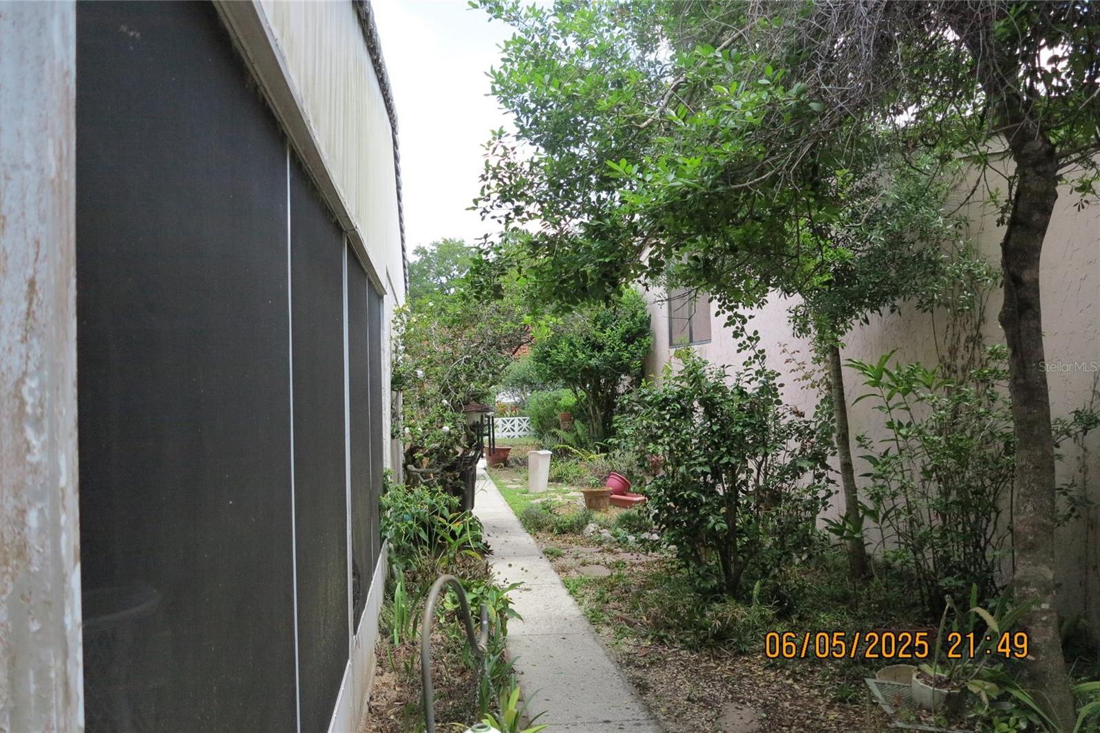Photo #51