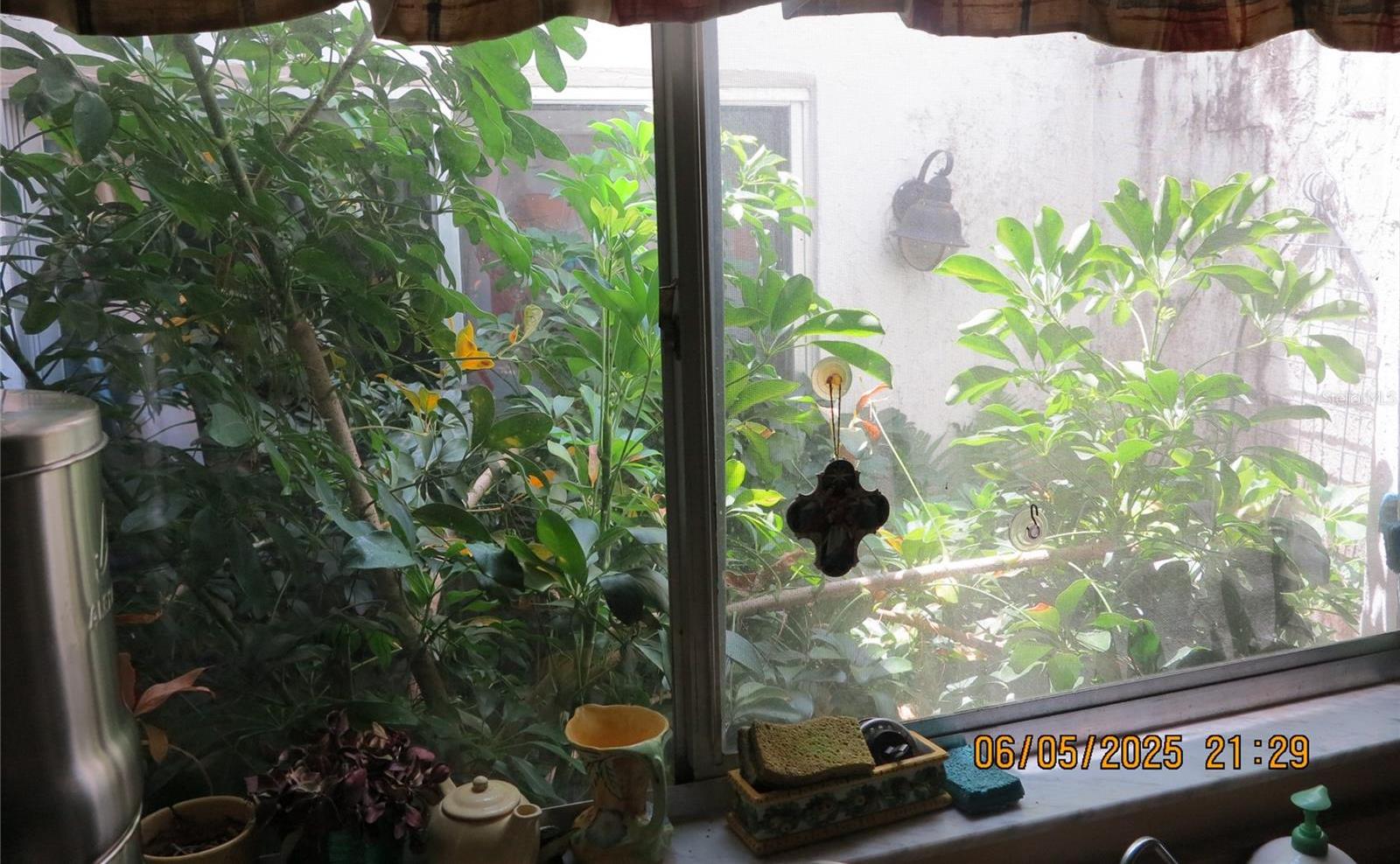 Photo #28