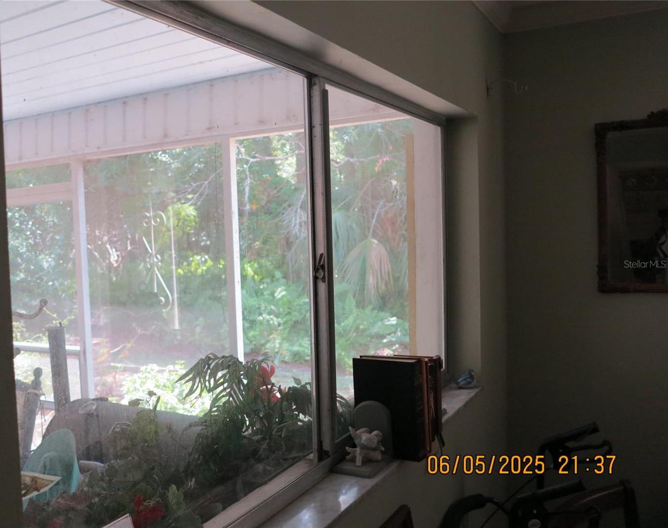 Photo #22