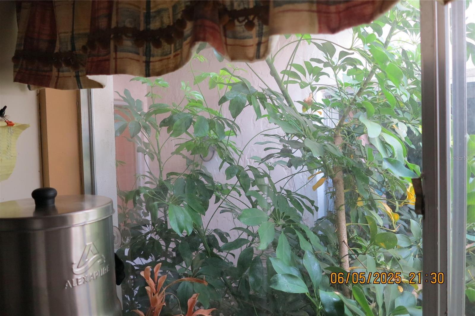 Photo #35