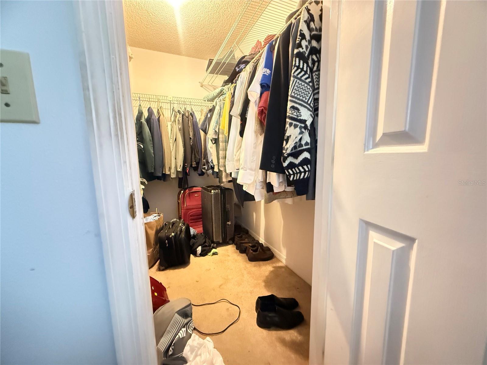 Photo #13