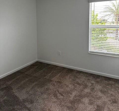 Photo #24