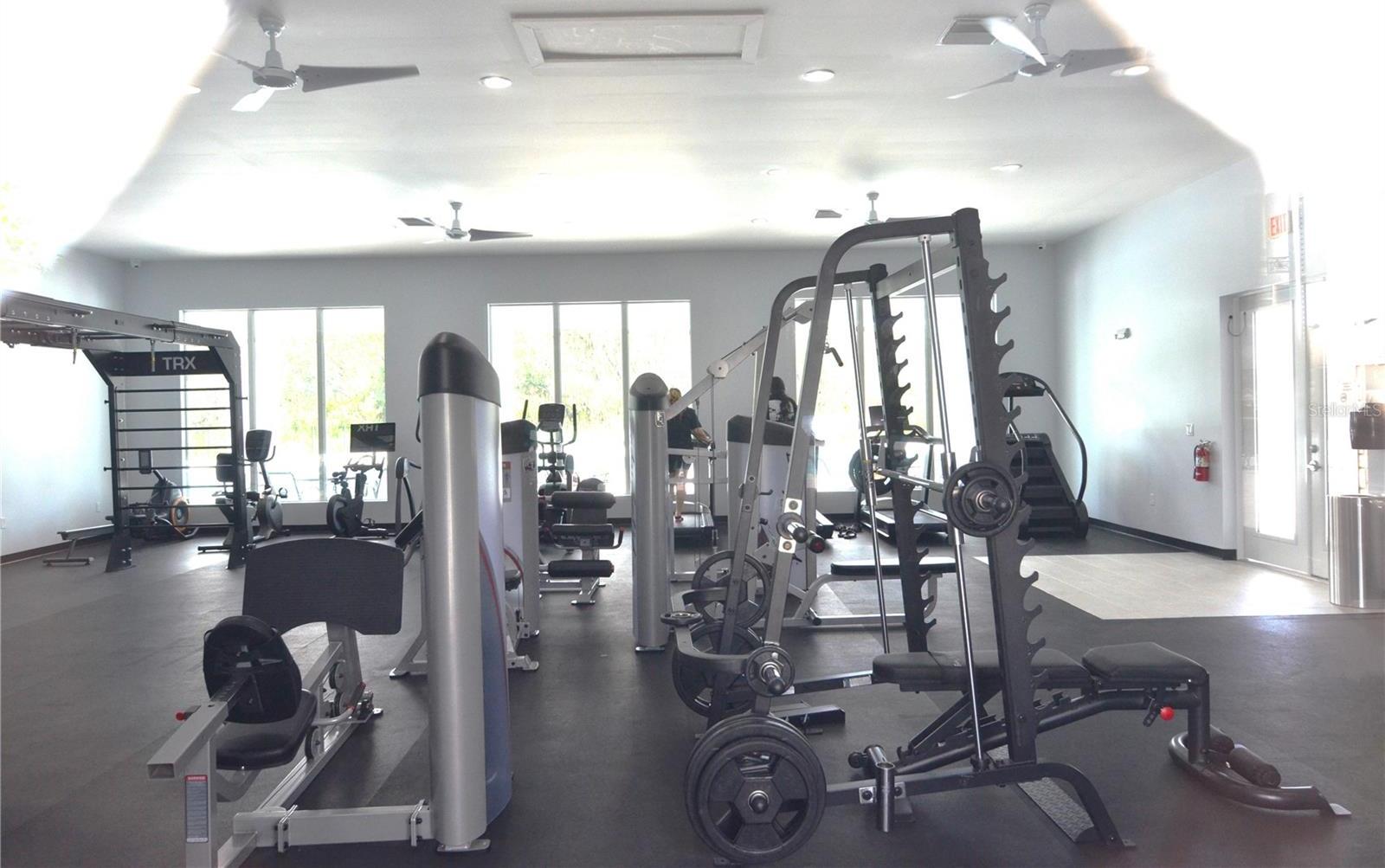 Photo #31
