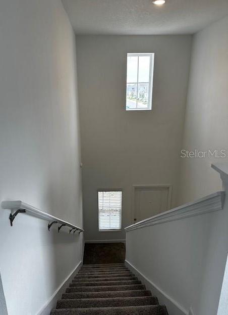Photo #15