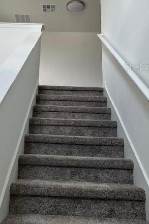 Photo #11