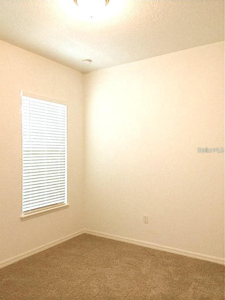 Photo #3