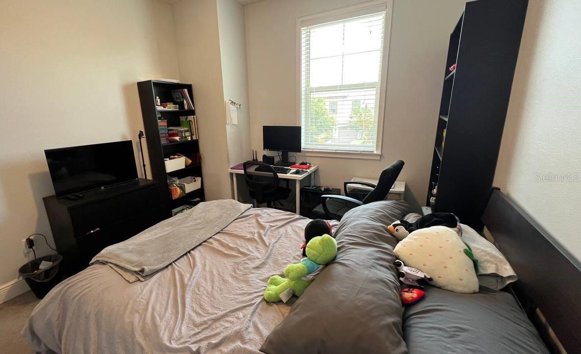 Photo #13