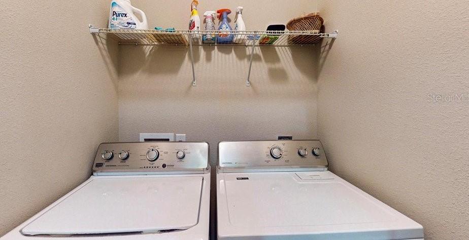Photo #45
