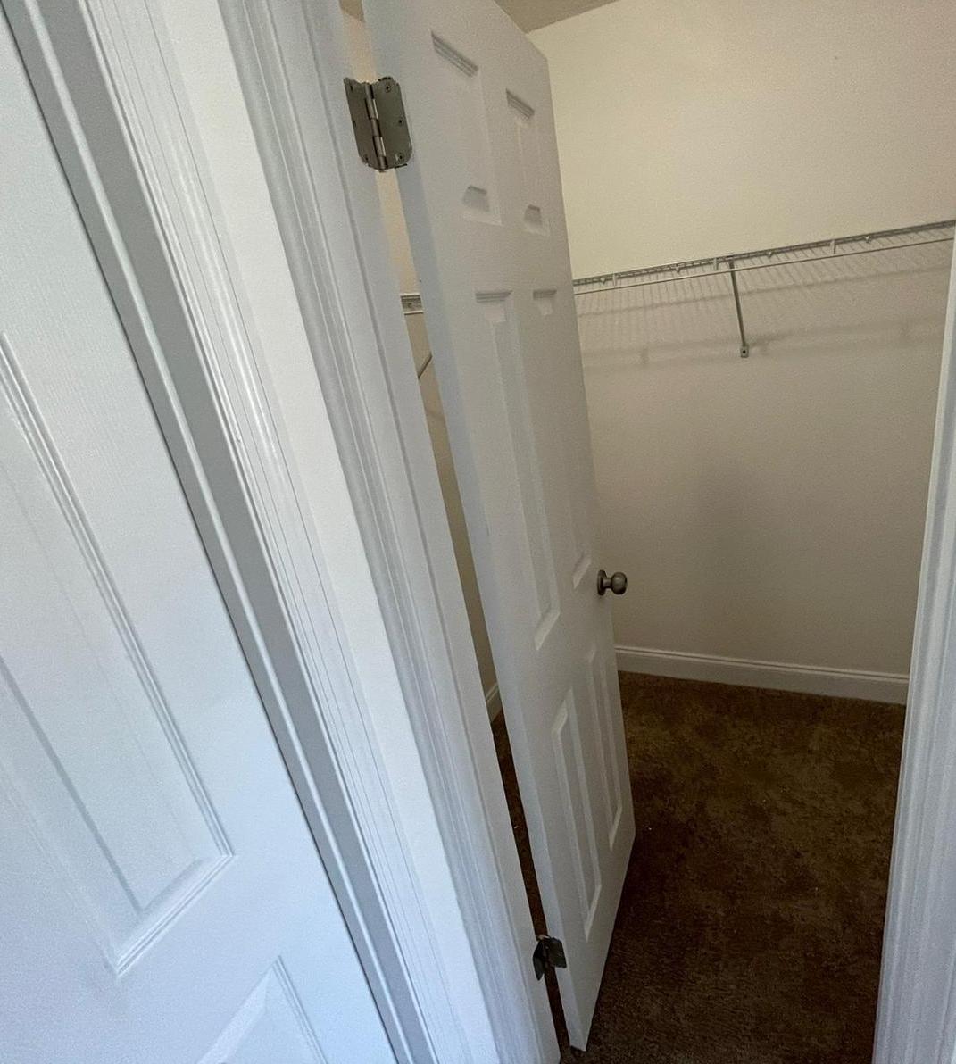 Photo #16