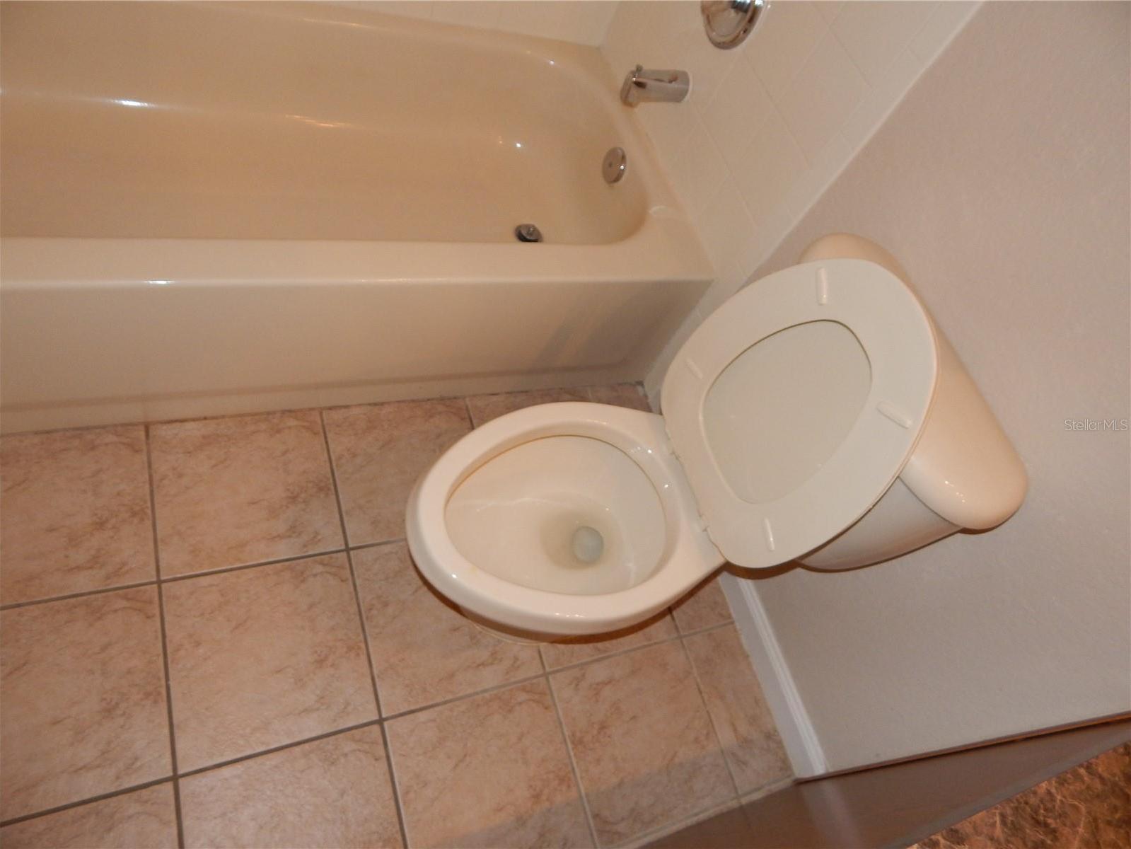 Photo #31