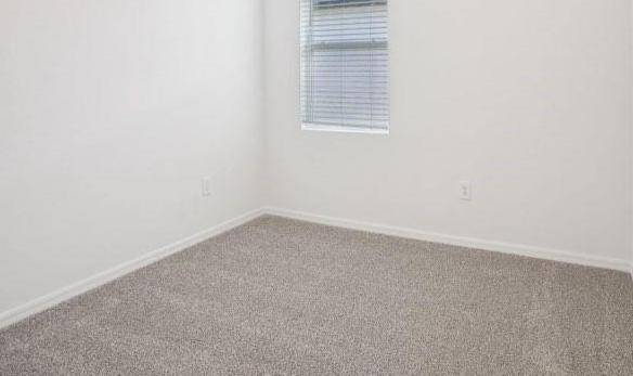 Photo #13