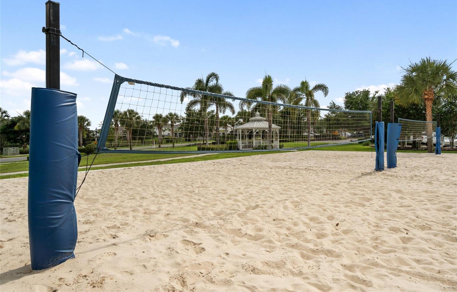 Photo #61