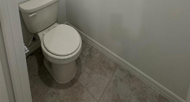 Photo #15