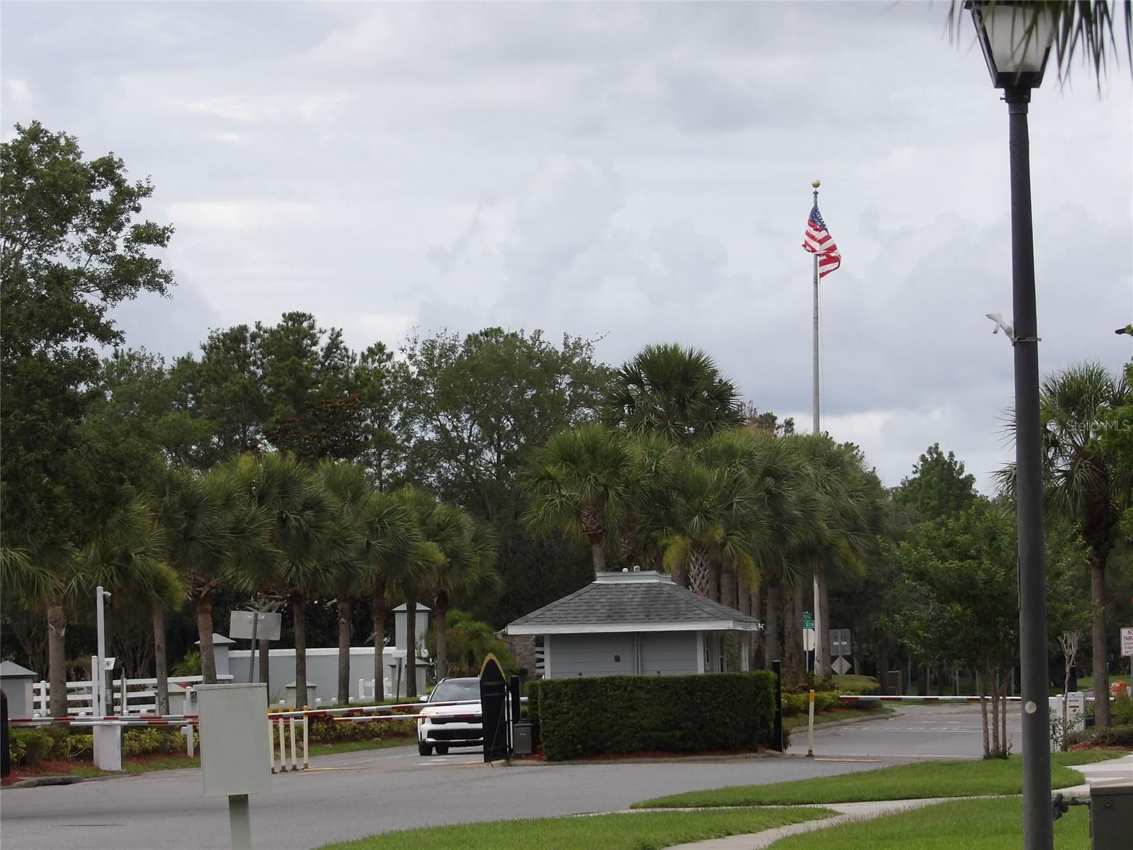 Photo #42