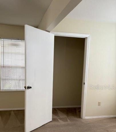 Photo #5
