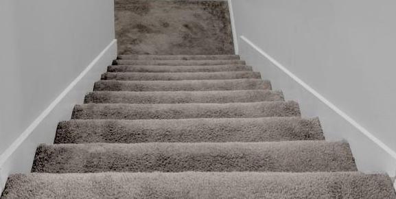 Photo #15