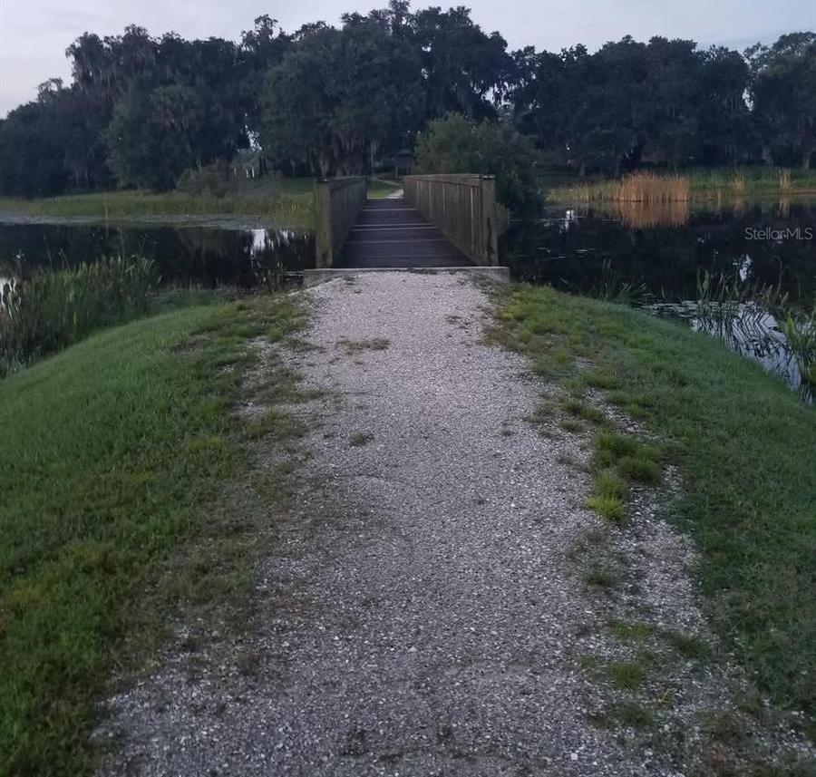 Photo #55
