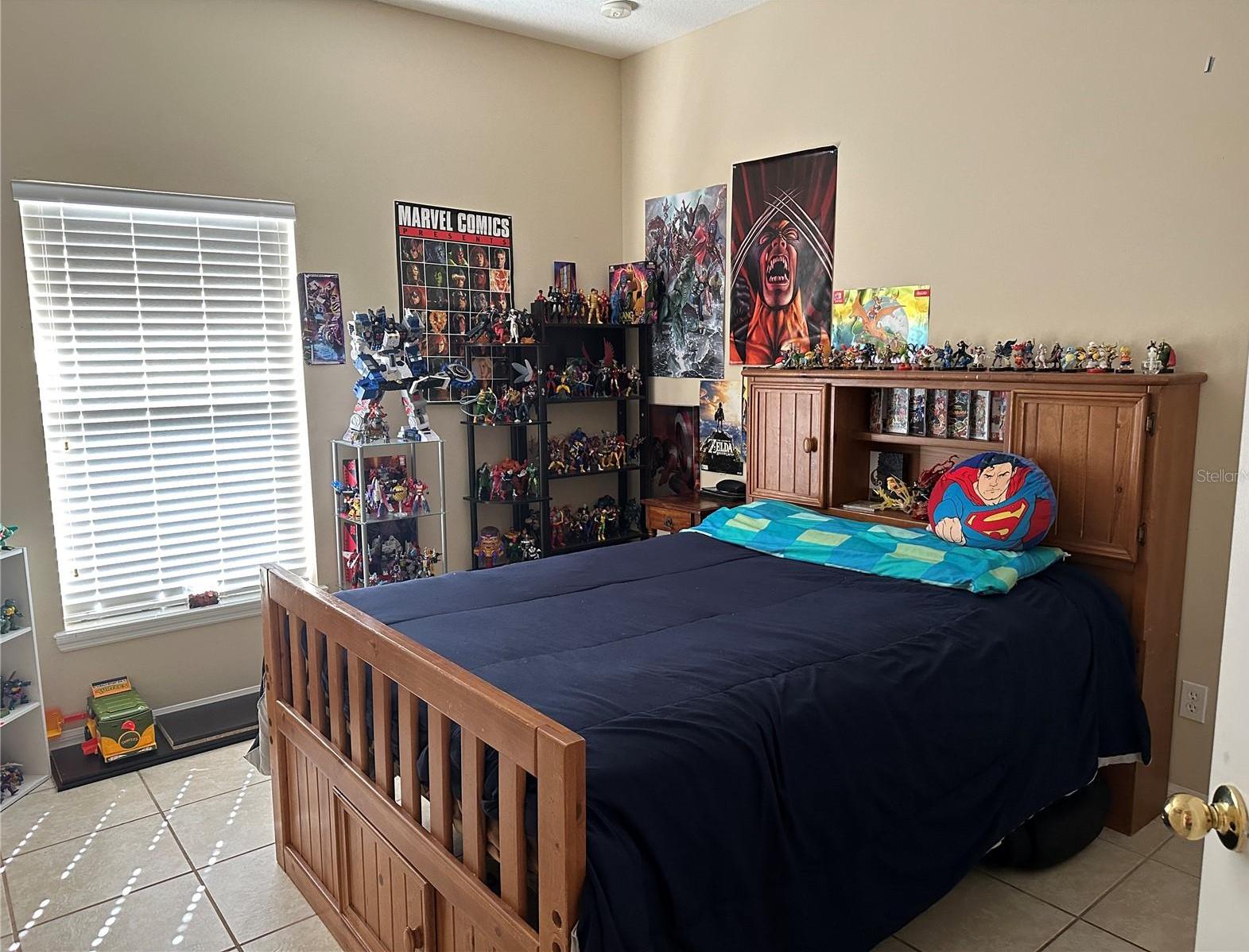 Photo #12