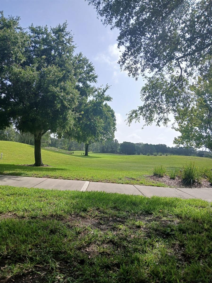 Photo #33
