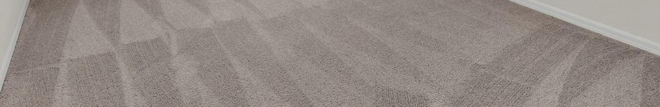 Photo #19