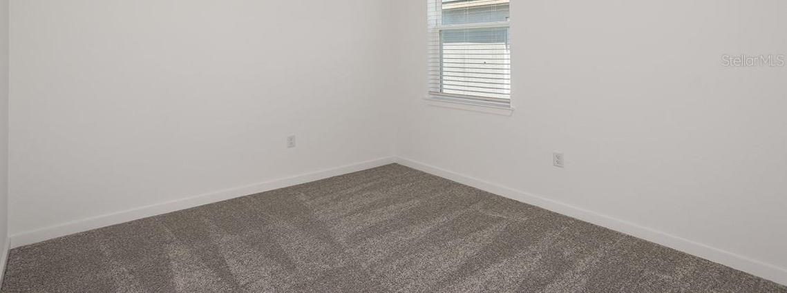 Photo #15